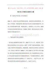统计局工作情况自查报告8篇.docx