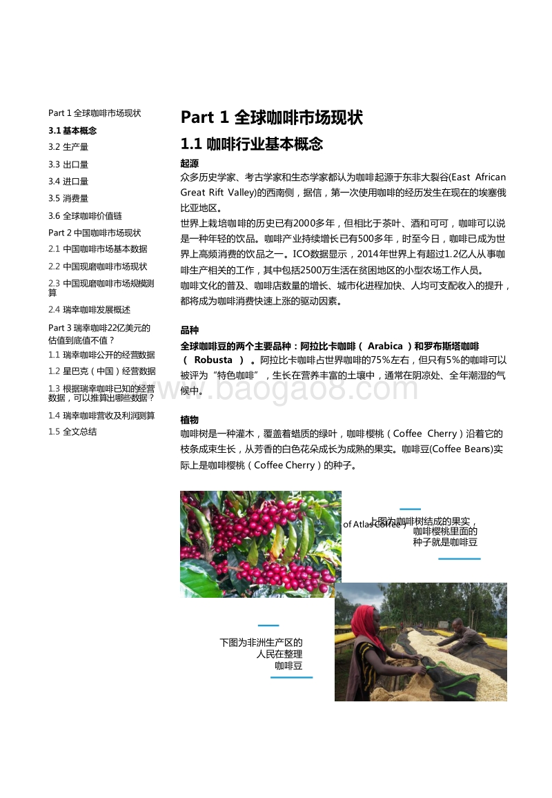 2019年中国咖啡市场发展数据报告.doc_第4页