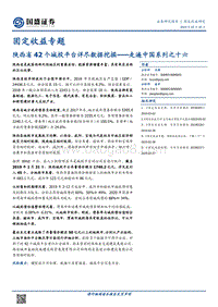 陕西省42个城投平台详尽数据挖掘.pdf