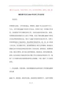 镇党委书记在2019年农村工作会讲话.docx