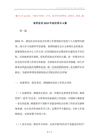 食药监局2019年综治要点4篇.docx