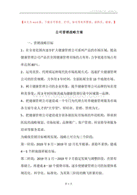 公司营销战略方案.docx