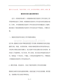 镇党的信息化建设调研报告.docx