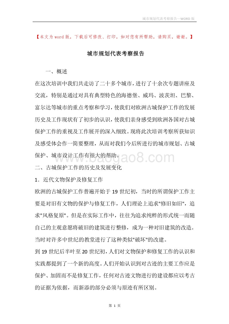 城市规划代表考察报告.docx_第1页