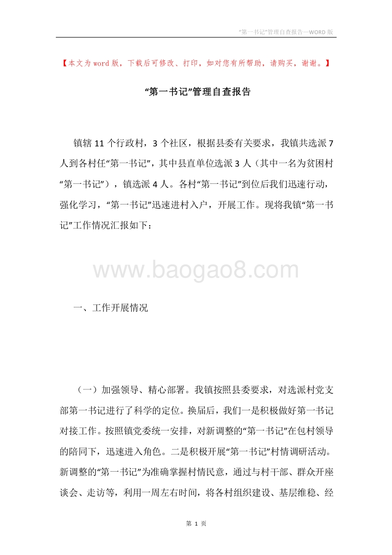 “第一书记”管理自查报告.docx_第1页