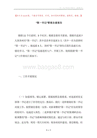 “第一书记”管理自查报告.docx