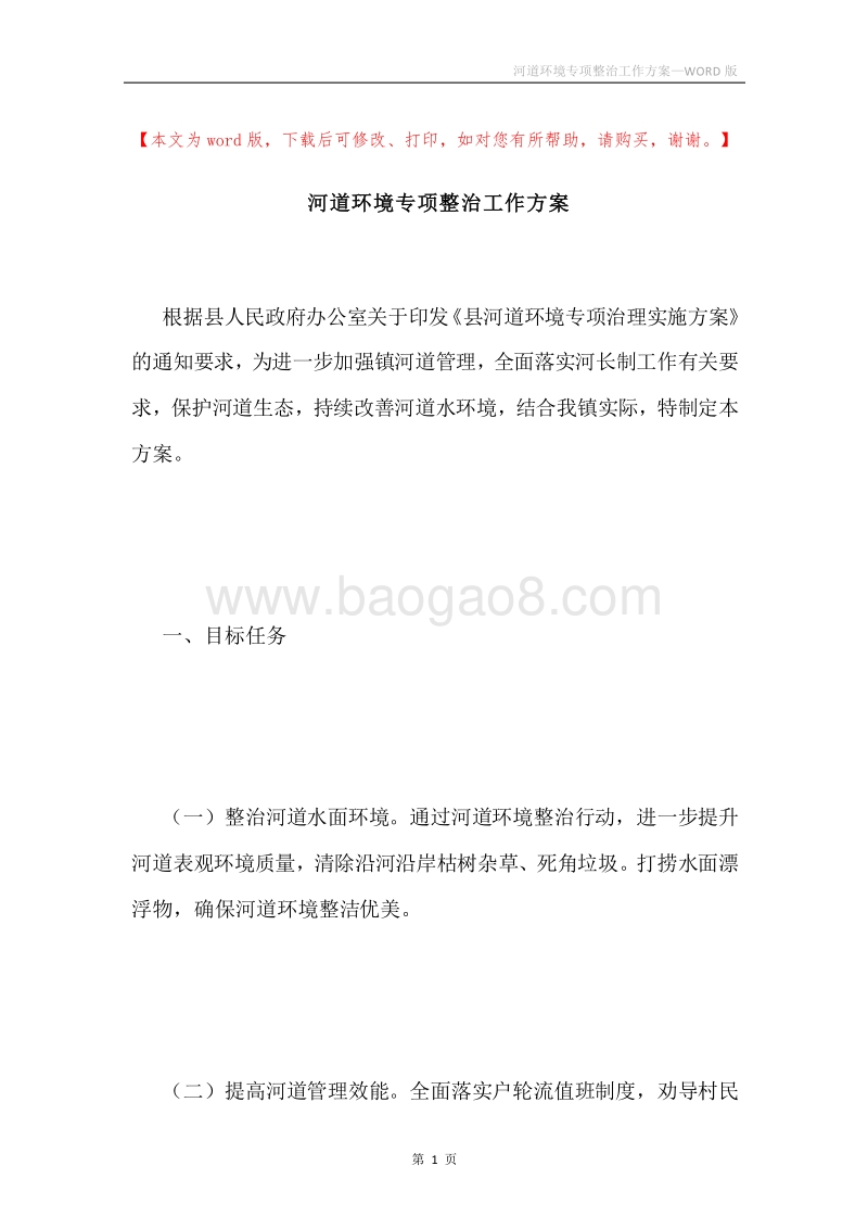 河道环境专项整治工作方案.docx_第1页