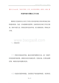 河道环境专项整治工作方案.docx
