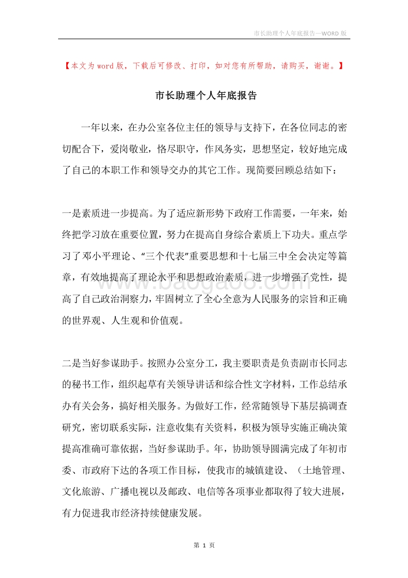 市长助理个人年底报告.docx_第1页