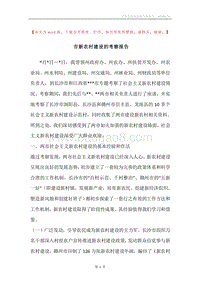 市新农村建设的考察报告.docx