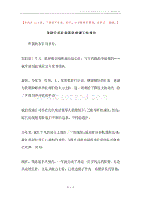 保险公司业务团队申请工作报告.docx
