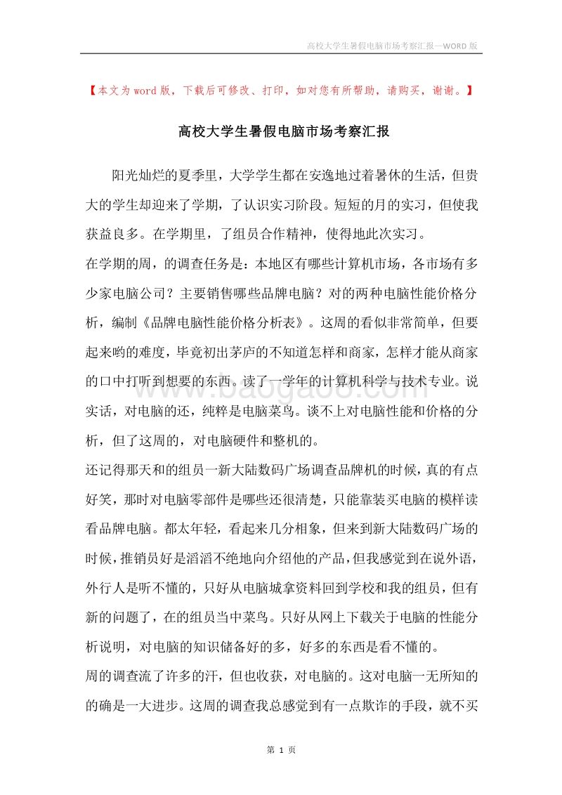 高校大学生暑假电脑市场考察汇报.docx_第1页