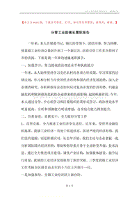 分管工业副镇长履职报告.docx