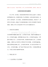 水务局目标任务完成报告.docx