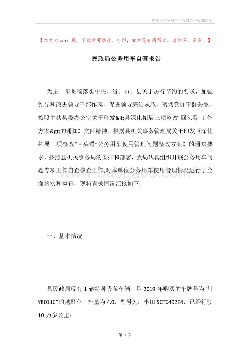 民政局公务用车自查报告.docx_第1页