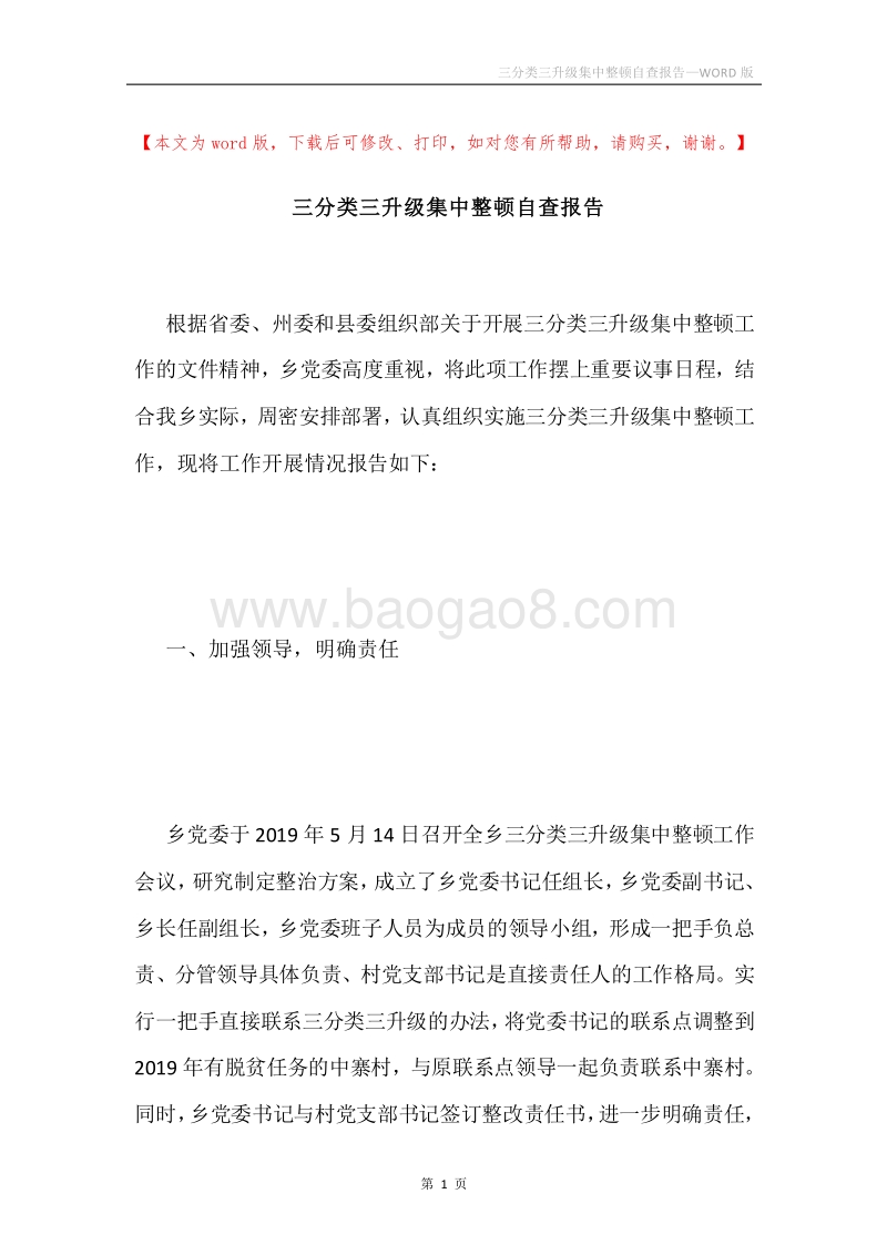 三分类三升级集中整顿自查报告.docx_第1页
