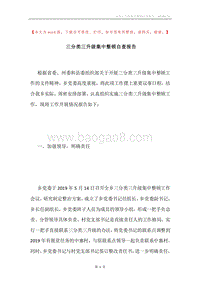 三分类三升级集中整顿自查报告.docx