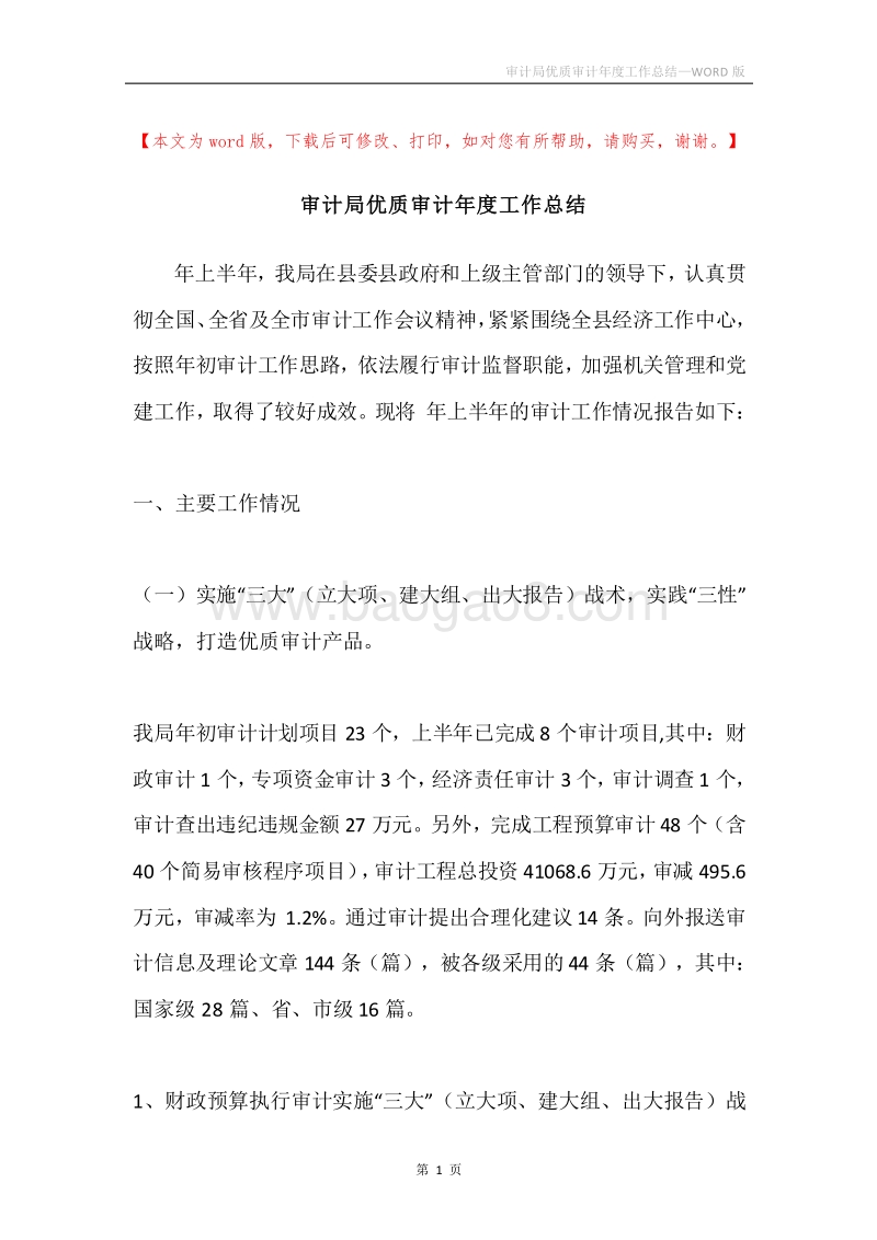 审计局优质审计年度工作总结.docx_第1页
