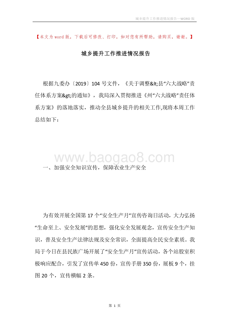 城乡提升工作推进情况报告.docx_第1页