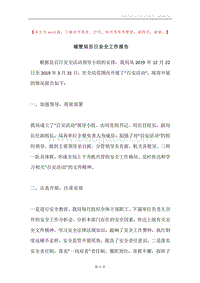 城管局百日安全工作报告.docx