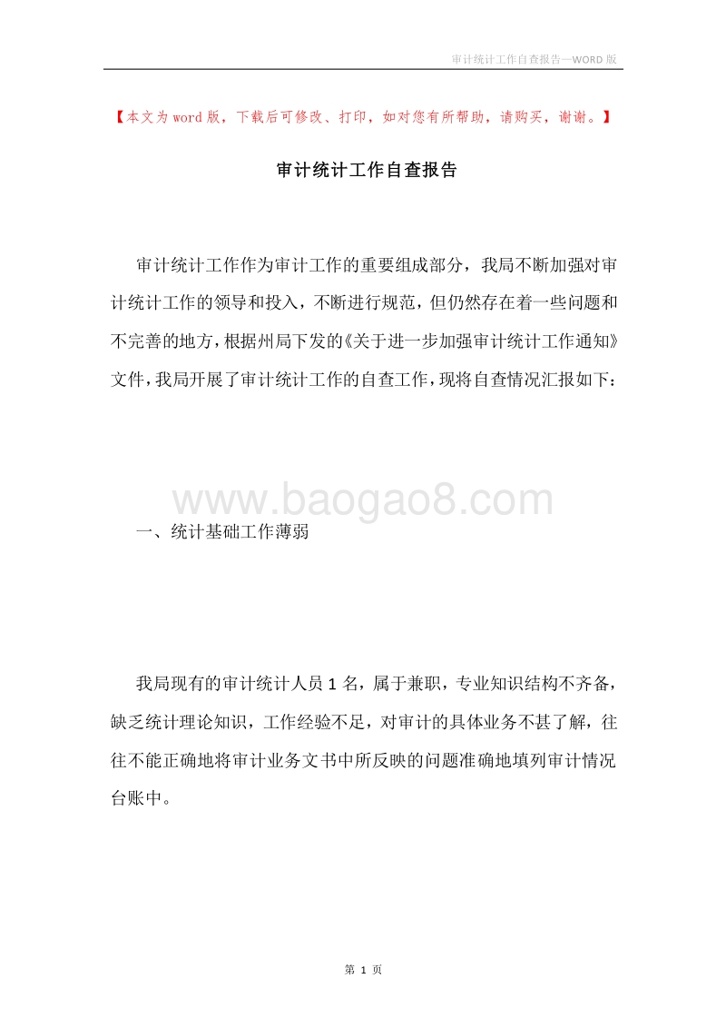 审计统计工作自查报告.docx_第1页