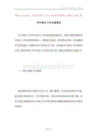 审计统计工作自查报告.docx