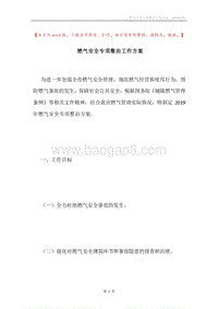 燃气安全专项整治工作方案.docx