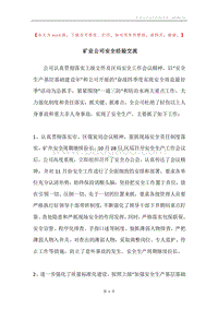 矿业公司安全经验交流.docx