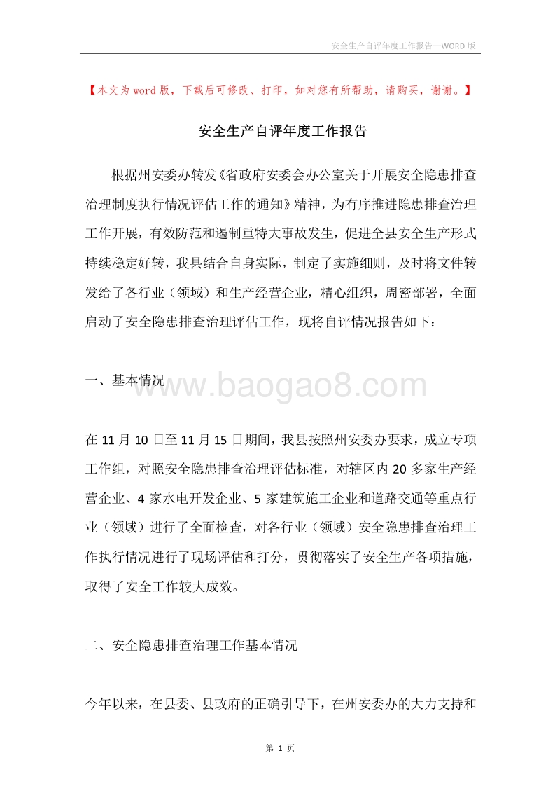 安全生产自评年度工作报告.docx_第1页