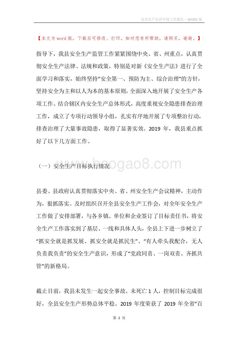 安全生产自评年度工作报告.docx_第2页