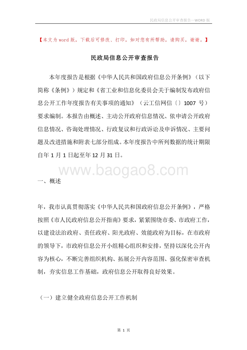 民政局信息公开审查报告.docx_第1页