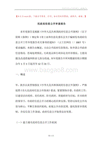 民政局信息公开审查报告.docx