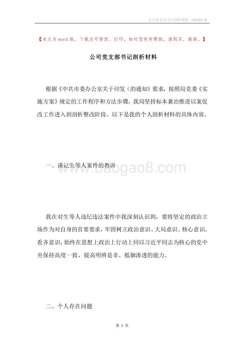 公司党支部书记剖析材料.docx_第1页