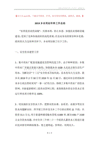 2019乡水利站年终工作总结.docx
