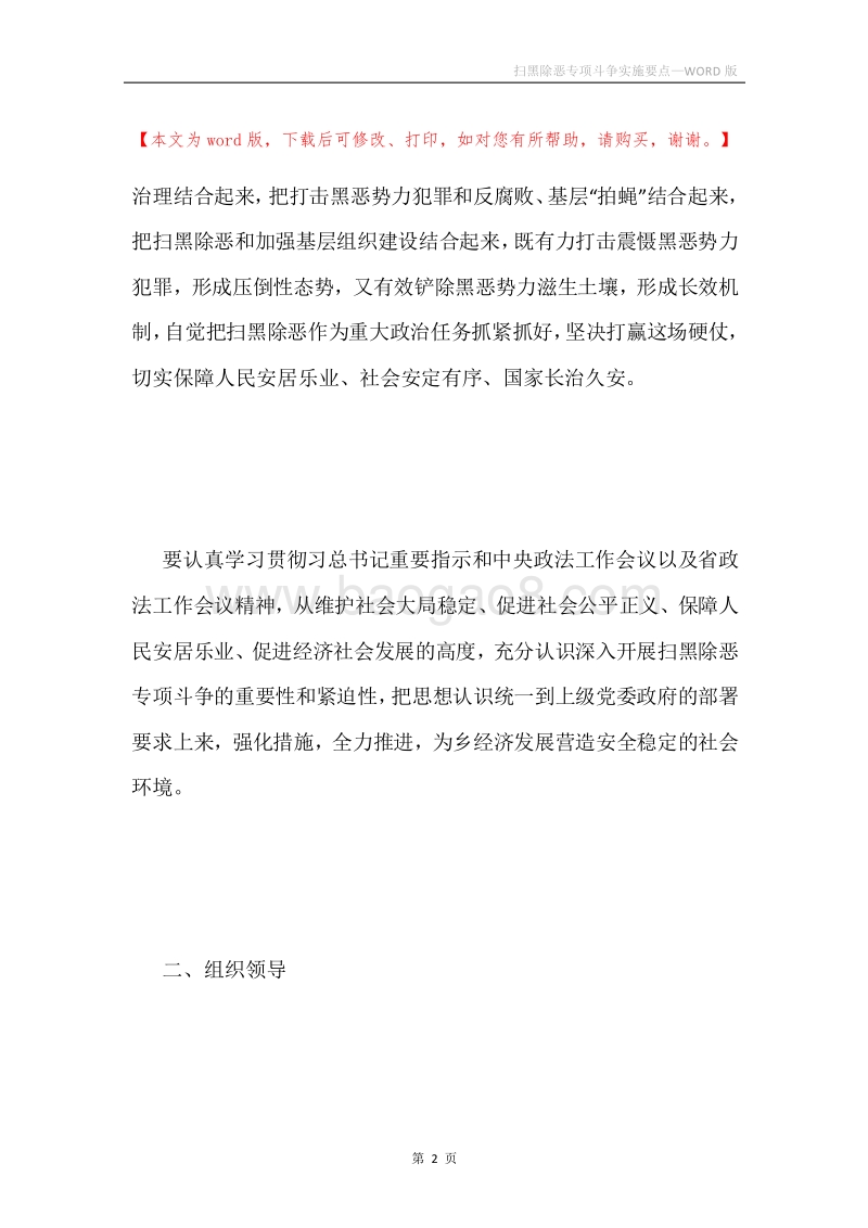扫黑除恶专项斗争实施要点.docx_第2页