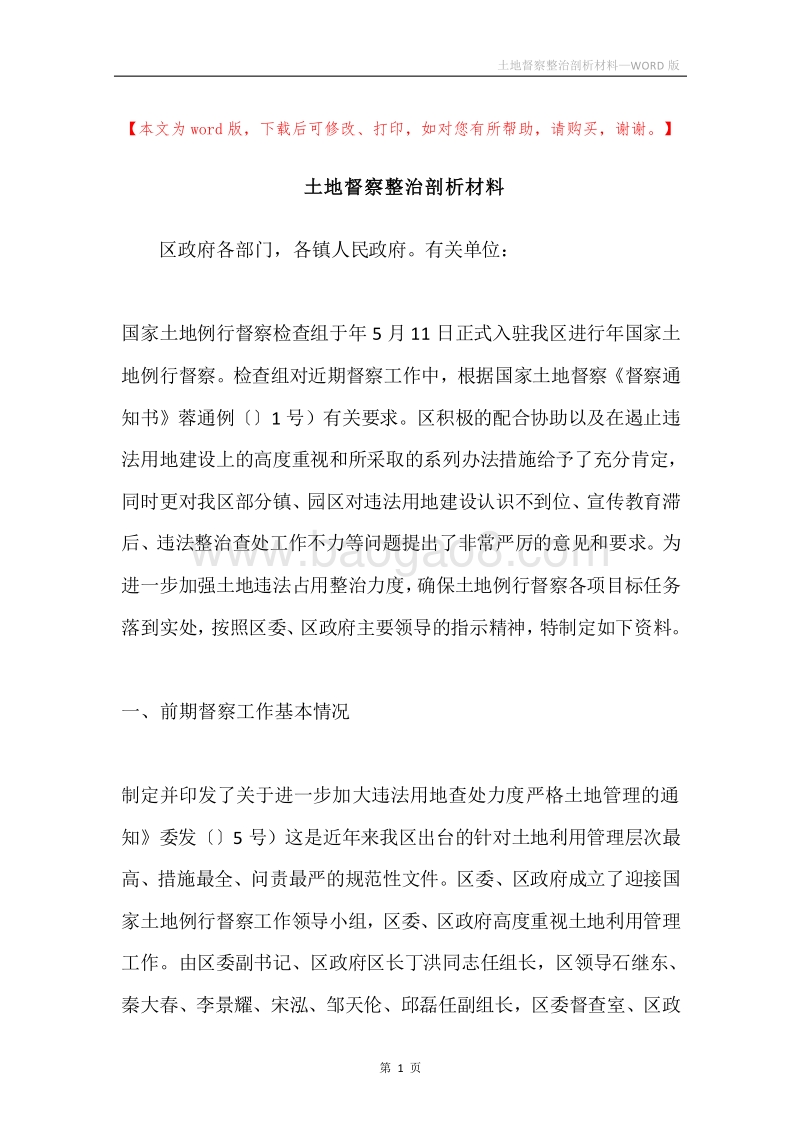 土地督察整治剖析材料.docx_第1页