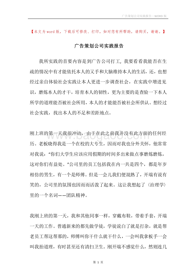广告策划公司实践报告.docx_第1页