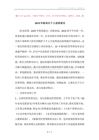 2019年副局长个人述职报告.docx