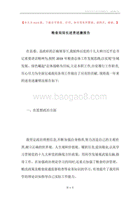 粮食局局长述责述廉报告.docx