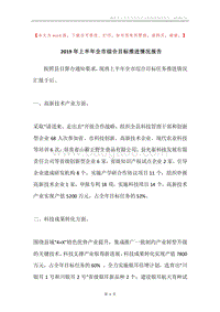 2019年上半年全市综合目标推进情况报告.docx
