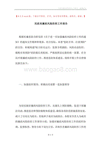民政局廉政风险防控工作报告.docx