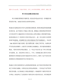 审计局生成模式经验交流.docx