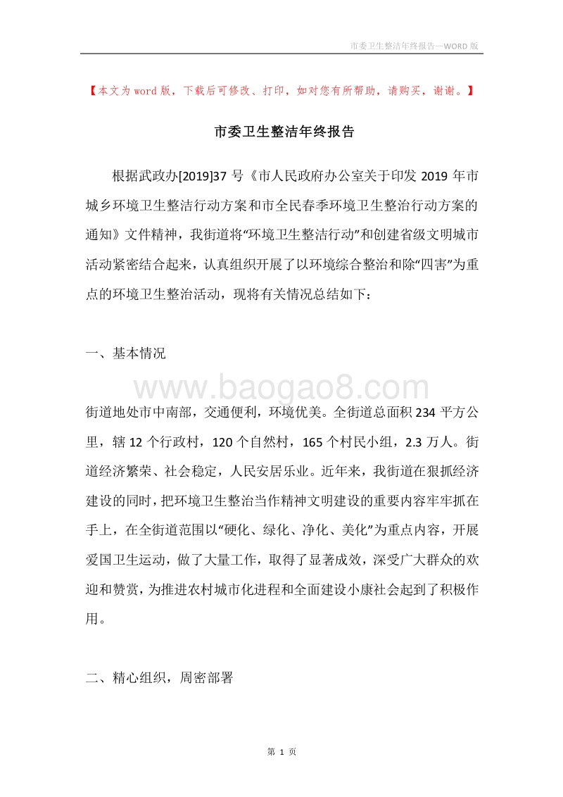 市委卫生整洁年终报告.docx_第1页