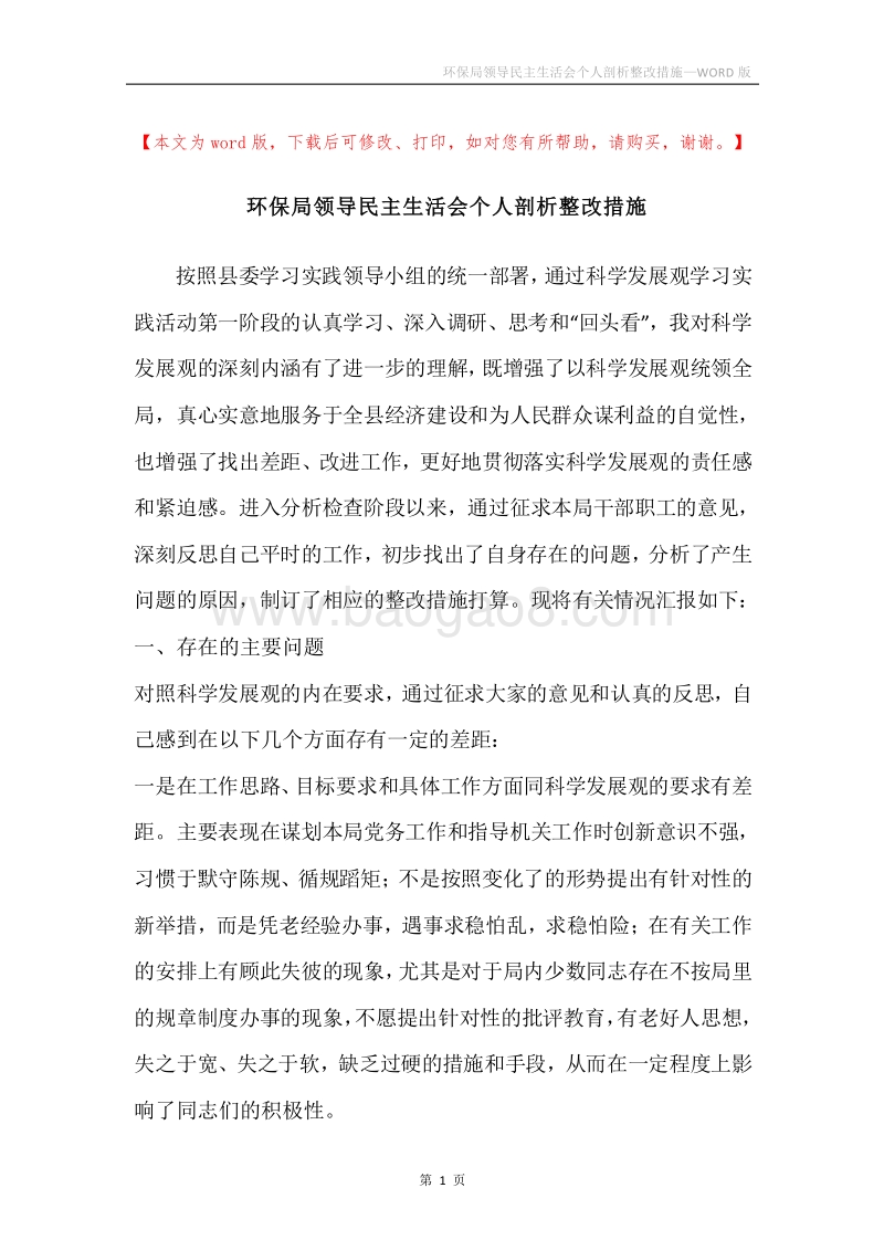 环保局领导民主生活会个人剖析整改措施.docx_第1页