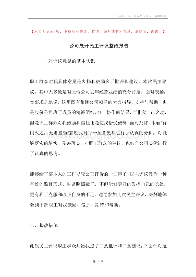 公司展开民主评议整改报告.docx_第1页