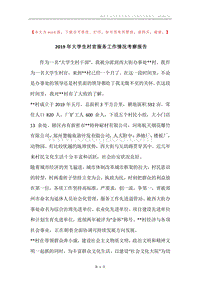 2019年大学生村官服务工作情况考察报告.docx