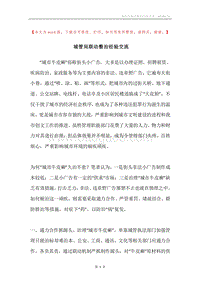 城管局联动整治经验交流.docx