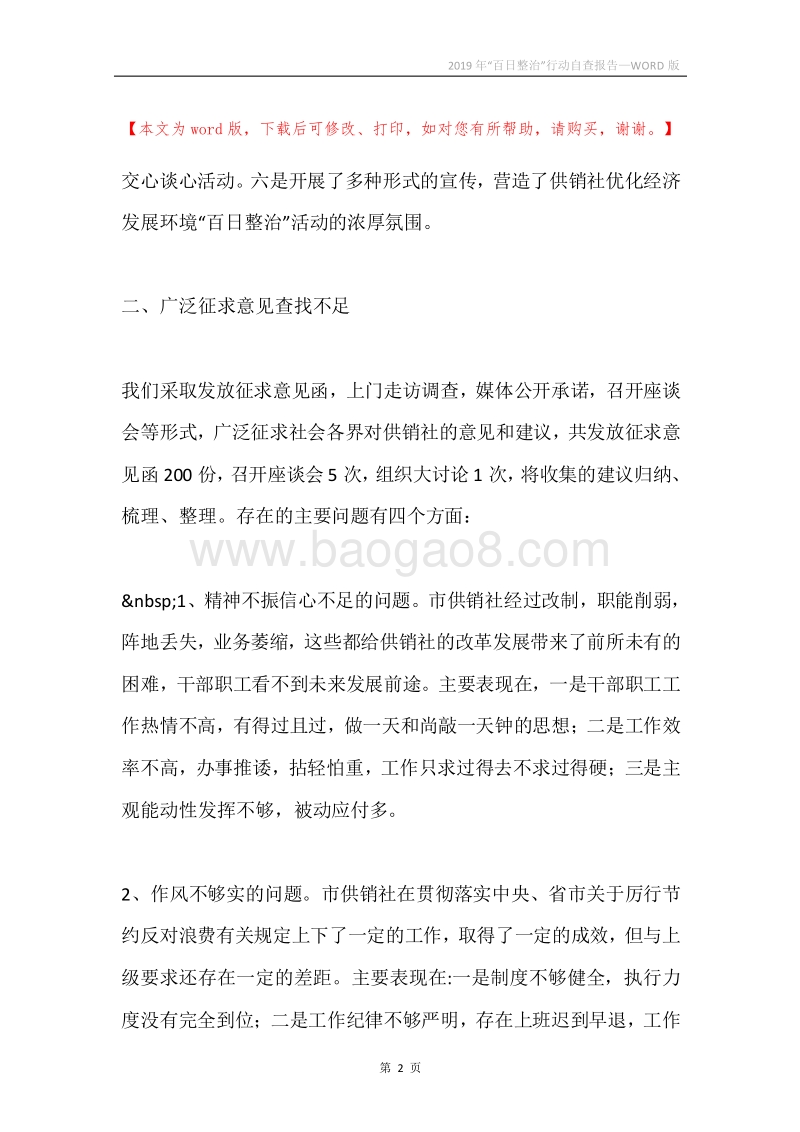 2019年“百日整治”行动自查报告.docx_第2页