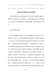 2019年“百日整治”行动自查报告.docx