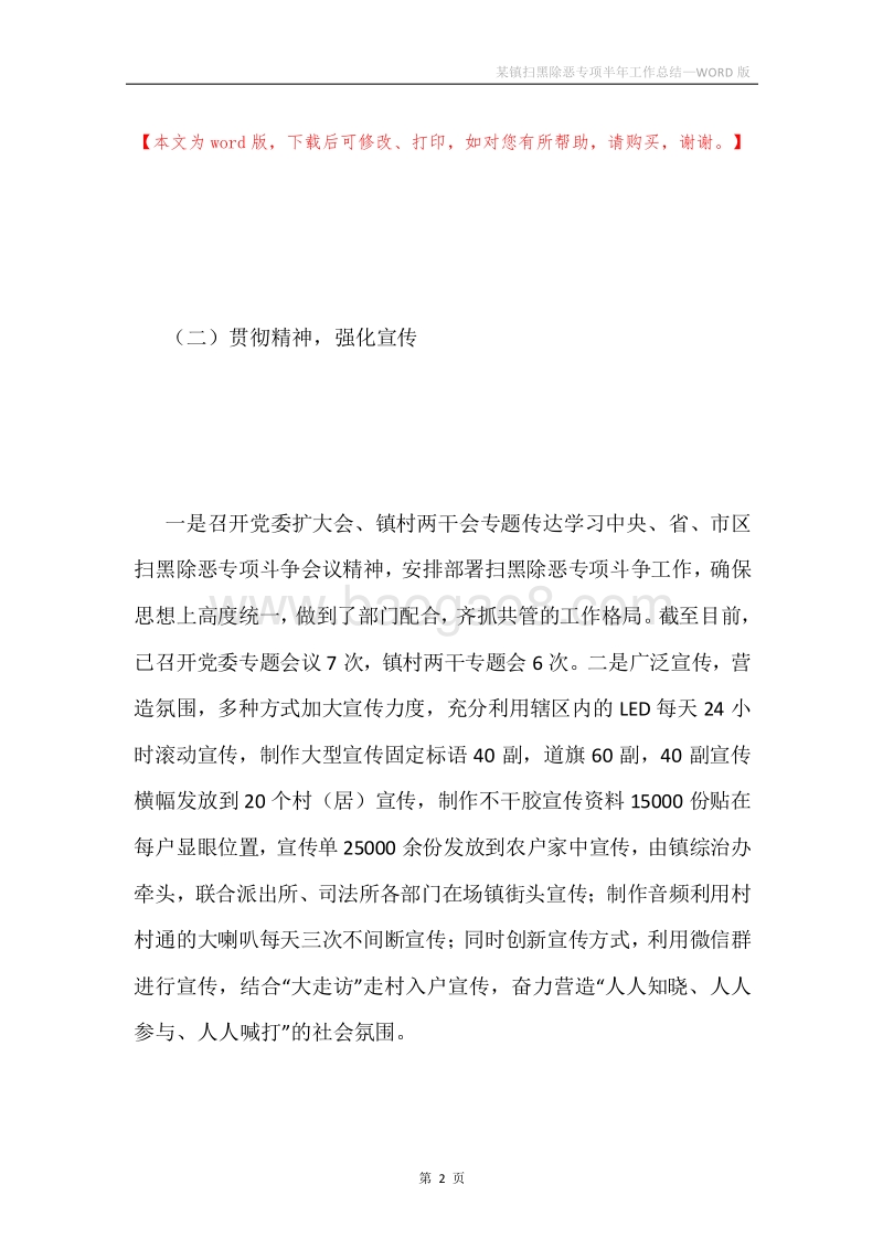 某镇扫黑除恶专项半年工作总结.docx_第2页